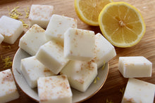 Load image into Gallery viewer, Lemongrass & Ginger - WHITE BLOOM & CO