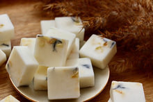 Load image into Gallery viewer, Black Pomegranate - WHITE BLOOM & CO