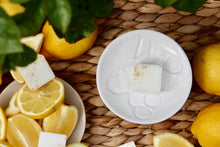Load image into Gallery viewer, Citronella &amp; Lemongrass Wax Melts
