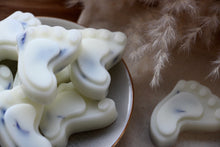 Load image into Gallery viewer, Baby Feet Wax Melts - WHITE BLOOM &amp; CO
