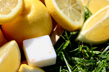 Load image into Gallery viewer, Citronella &amp; Lemongrass Wax Melts
