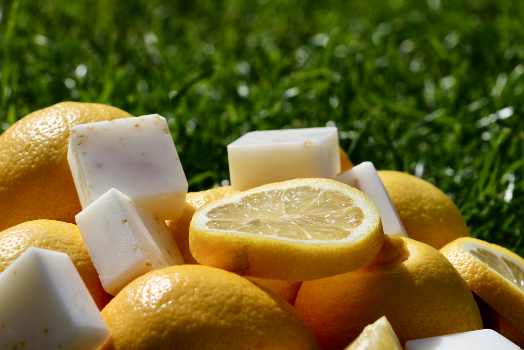 Citronella & Lemongrass Wax Melts